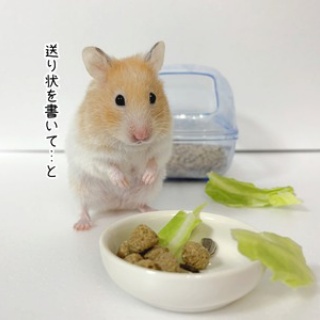 ブンチョ日誌