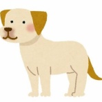 おにひめちゃんの監視部屋-生活まとめ・ニュース・面白ネタのシェアサイト-