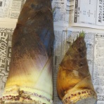 大和路ぶらぶら