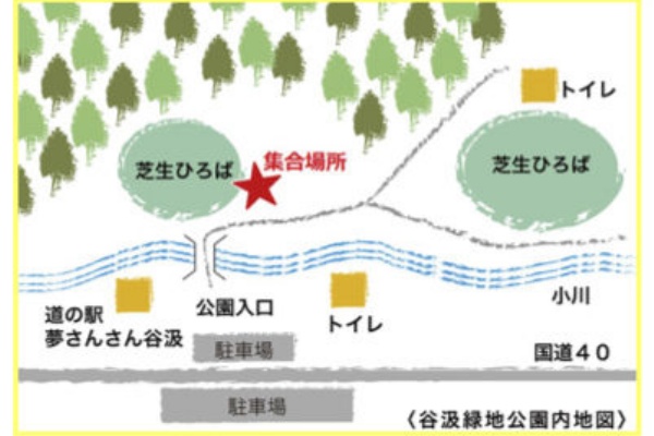 フィールド 谷汲緑地公園 いび森のようちえん こだぬき