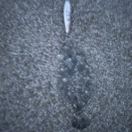 特攻隊長さんの釣行記