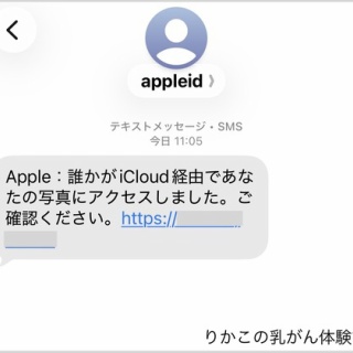 りかこの乳がん体験記