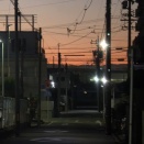 いろいろ写真　(*ΦωΦ*)にゃー