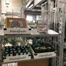 出展してました
