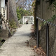 【尾道】尾道の素敵すぎるノスタルジックカフェ　～帆雨亭（はんうてい）