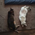 moroのハンドメイド