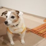 華・あず＆レン