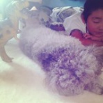 ＊ARTな毎日＊～２人のBOYSとプラスＲＵＩ