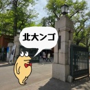ChatGPT怪文書『謙虚なオルフェ、湯けむり紀行』
