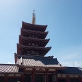 三社祭前の浅草散策