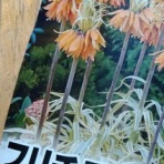 blog：自然と四季を楽しむ