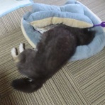 churahamaのブログ