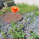 フロー状態って気持ちイイよね💕