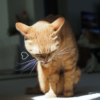 やっと晴れた〜♪