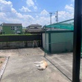 日向ぼっこ♪
