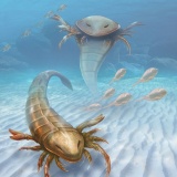 世界最古の巨大な捕食生物「ウミサソリ」が発掘される