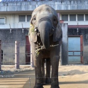 媛ちゃんからプレゼントもらった♪