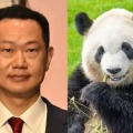 「中国から再びパンダを！」 崖っぷち、二階元幹事長の息子が訴え