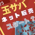 大変お待たせいたしました🙇　🌟ネット販売スタートです🌟