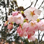 富来の風景～能登の風景