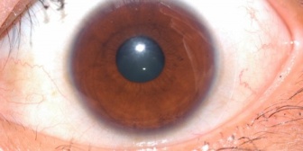 【報告者が…】先日、冷却期間を置いていてずっと連絡の取れなかった彼女を喫茶店で見かけたので声をかけ手前の空いていた席に座り…