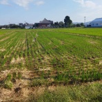 女性比率８割以上！ 愛知西尾カイロプラクティック（整体・気功）