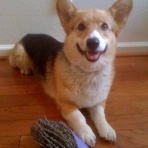 リティ＆クリンシのカリフォルニア生活