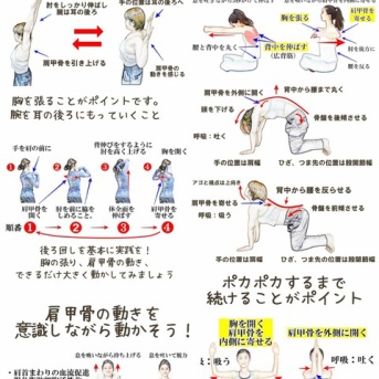 肩甲骨を動かそう！肩こりを完全克服して、笑顔いっぱいに♪