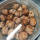 渋皮煮作ります、栗が浮いてくる、栗ご飯、包丁2切れ味凄っ、