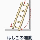 旋転(はしごの運動)