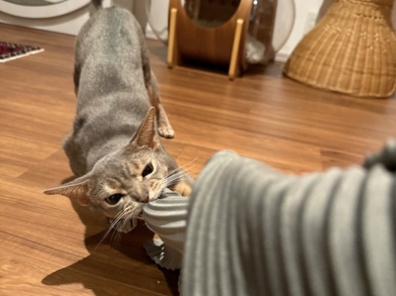 着替えは慎重に…