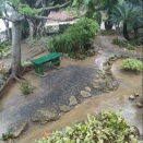 ⑨3071・2766 昨夜から今朝にかけて雨、じゃがいもの植え付けは休みです。