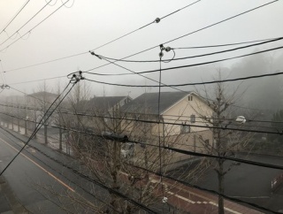亀岡は、霧が出ているのに、小雨が降っている。