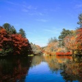 軽井沢・雲場池の紅葉