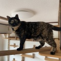 在籍１年２カ月　ついにまゆちゃんが卒業しました‼