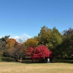 30代転職組・新間草海先生の『叱らないでもいいですか』