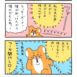 スキウサギ「太陽フレア」 : キューライス記 Powered by ライブドアブログ