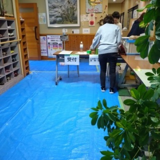 NPO犬猫みなしご救援隊・代表ブログ・みなしご庵へようこそ