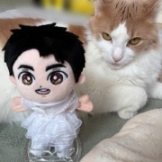 不機嫌になる理由は猫も人間も同じかも