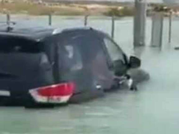 【ネコ】 洪水で立ち往生する車に、猫が必死にしがみついていた。今行くぞ～！ → 男たちがボートで救出に向かった…