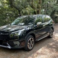 アウトドア趣味始めるけど、フォレスターって車買えばいいの？