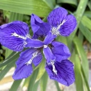 まだ頑張るか！