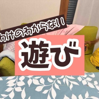 男の子たちの不思議な遊び。