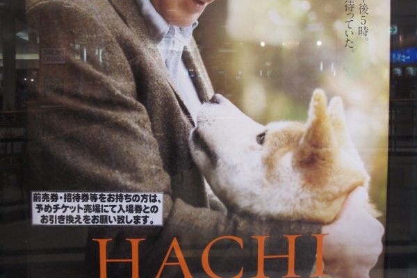 倉敷の柴田歯科医院です 09年08月