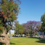 主観的アルゼンチン/ブエノスアイレス事情