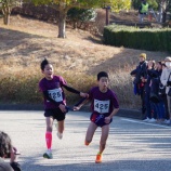 『令和7年度 第72回沼津市駅伝競走大会』の画像
