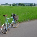 ビアンキミニベロ走行距離6万km達成なれど……
