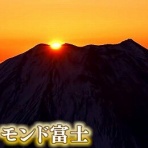 晴 天 と ら 日 和