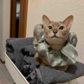 お風呂の出待ちしてくれるジャミちゃん