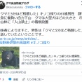 【（・(ｪ)・）】「クマと5分ほど格闘した」キノコ採りの61歳男性　顔や全身に傷負い自力下山　クマは大型犬ほどの大きさ　長野県伊那市